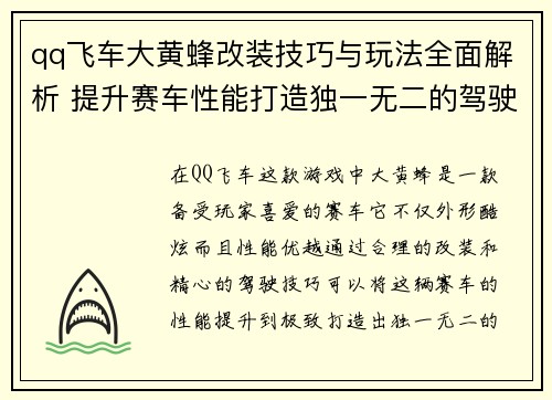 qq飞车大黄蜂改装技巧与玩法全面解析 提升赛车性能打造独一无二的驾驶体验