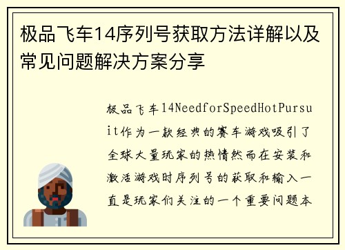 极品飞车14序列号获取方法详解以及常见问题解决方案分享